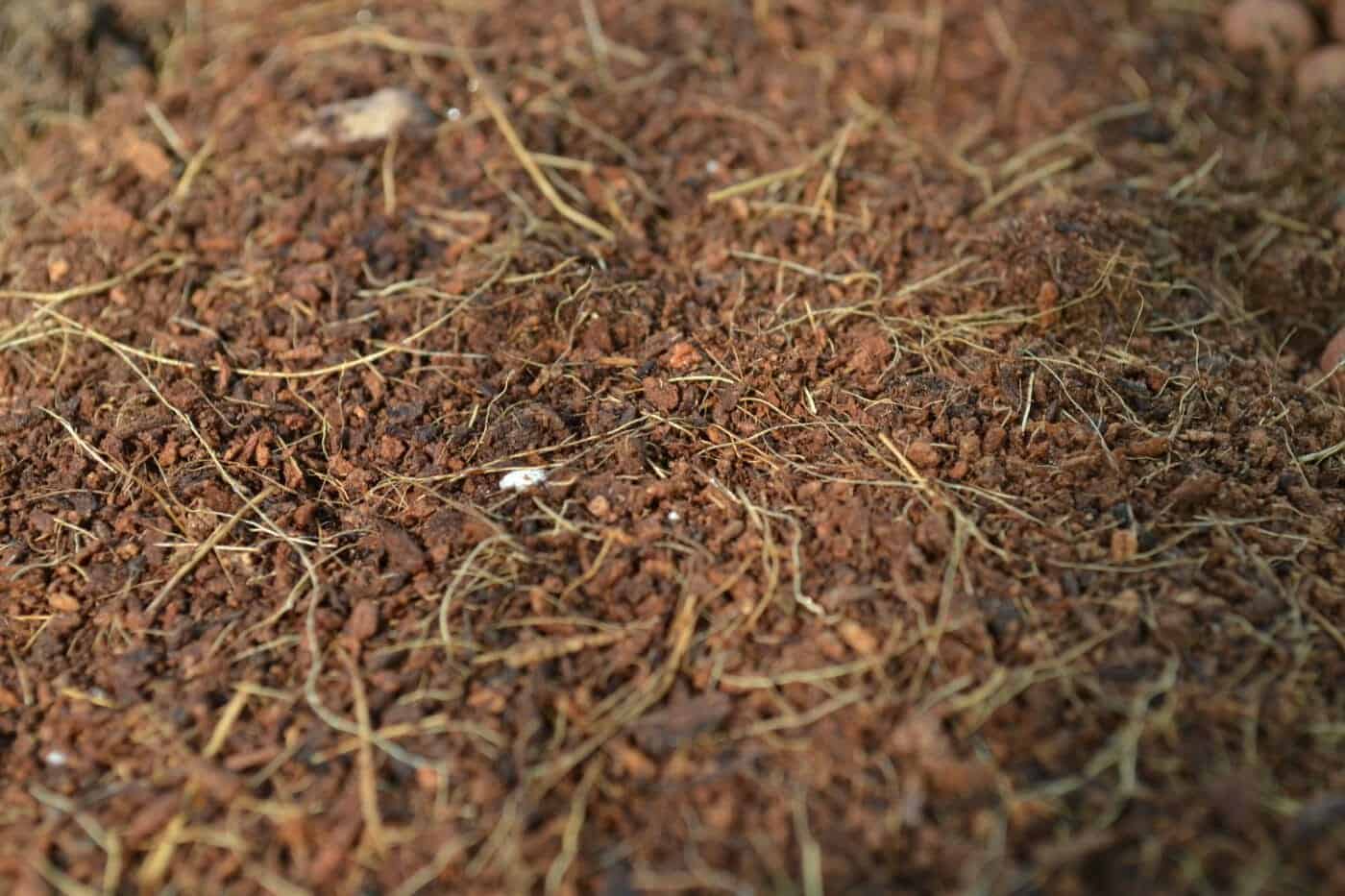 rsz_dsc_0056 resellers